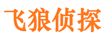 天桥市侦探调查公司